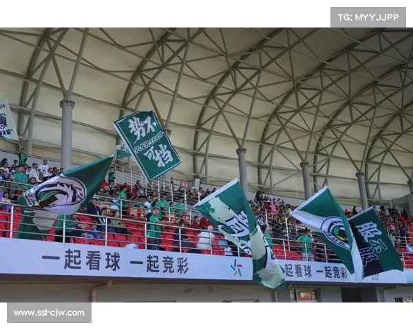 滇超联赛普洱队1-0胜西双版纳队，林建行制胜球锁定胜局